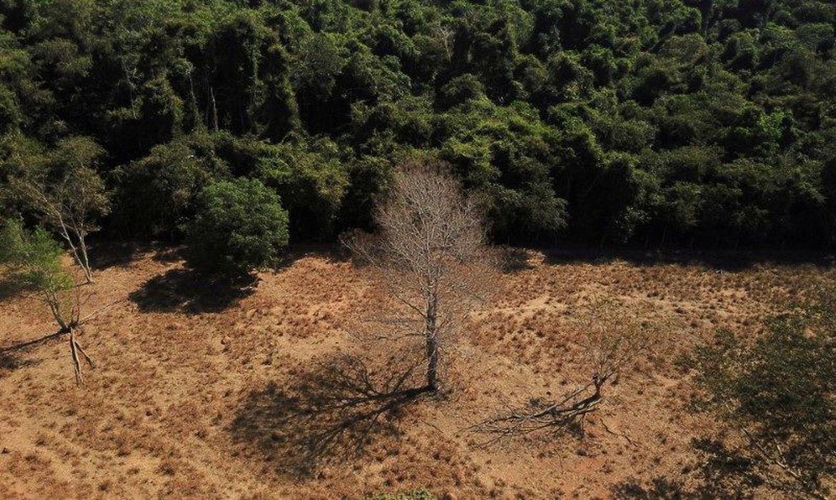 Sem Cerrado, faltará água no Brasil, alertam especialistas