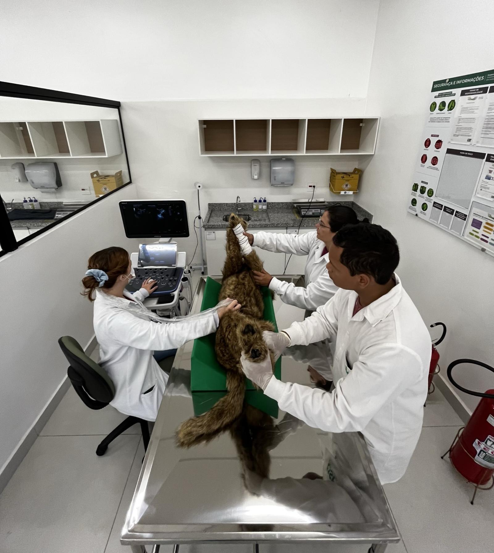 Câmpus Itatiba contará com Clínica Veterinária e Centro Diagnóstico 