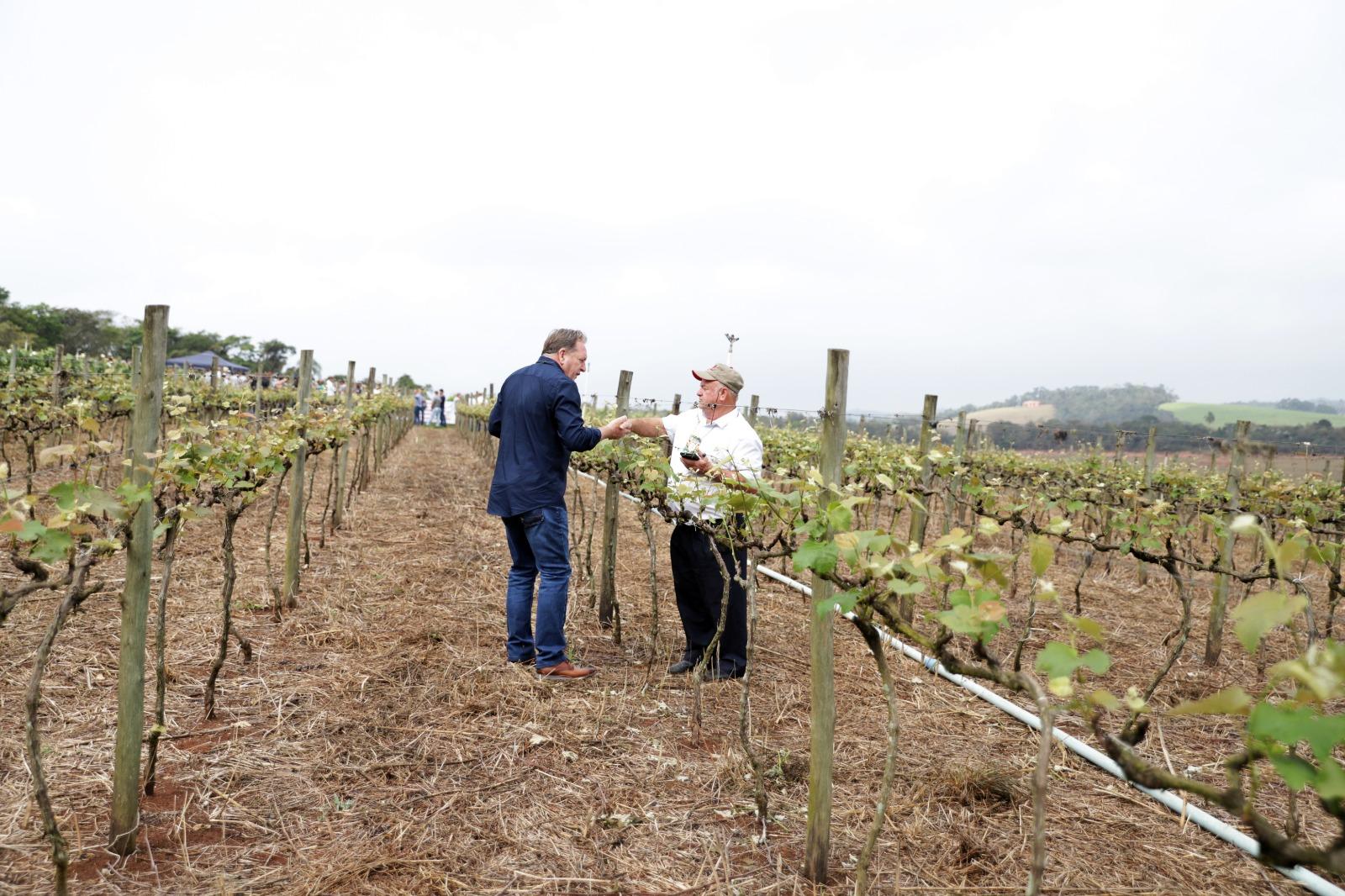 Com foco no aprimoramento da produção rural, Louveira participa de encontros agrícolas na região
