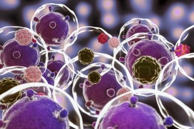 Terapias celulares podem reduzir risco de morte por COVID-19, aponta estudo de SP