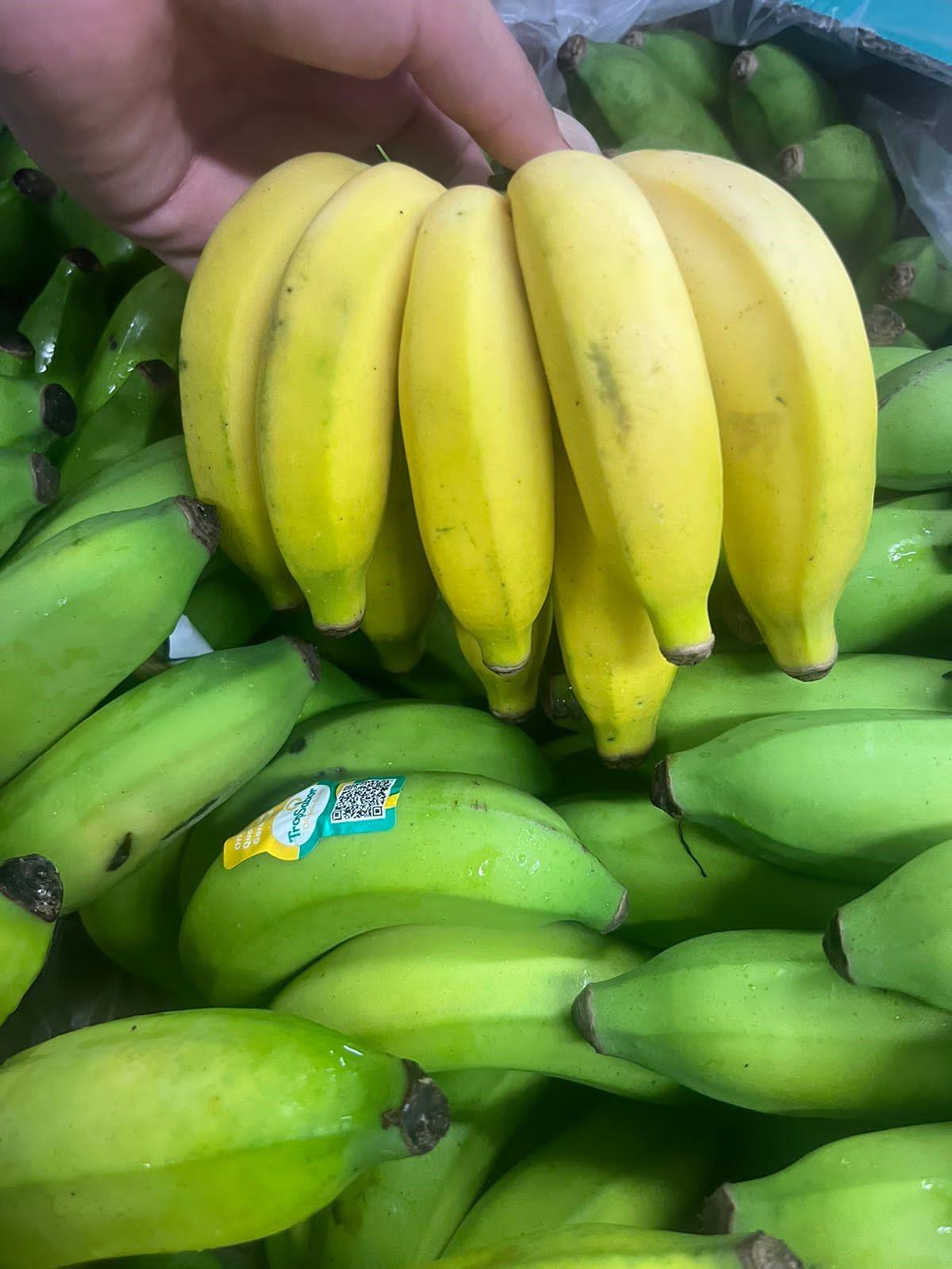 Ceasa-Campinas comercializa a variedade da banana-princesa, fruta desconhecida por muita gente