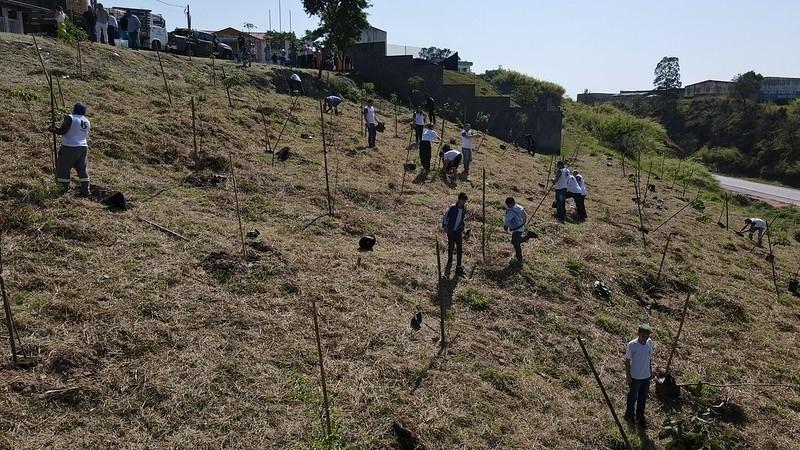 Dia da Árvore: Quase 400 mudas são plantadas em ato simbólico no Central Park 