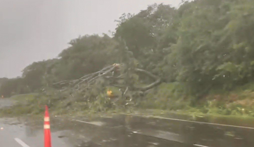 Chuva provoca estragos na região nesta quinta