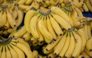 Líder nacional, o Estado de SP é responsável por 26% da banana produzida no Brasil