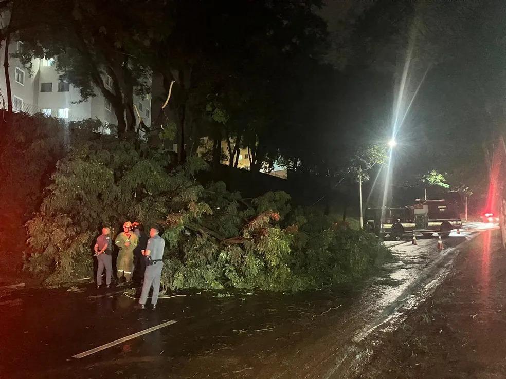 Limpeza de estragos de temporal em Campinas deve levar dez dias