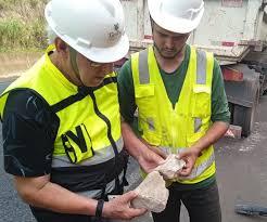 Fóssil com 65 milhões de anos é encontrado em obra de rodovia em MG