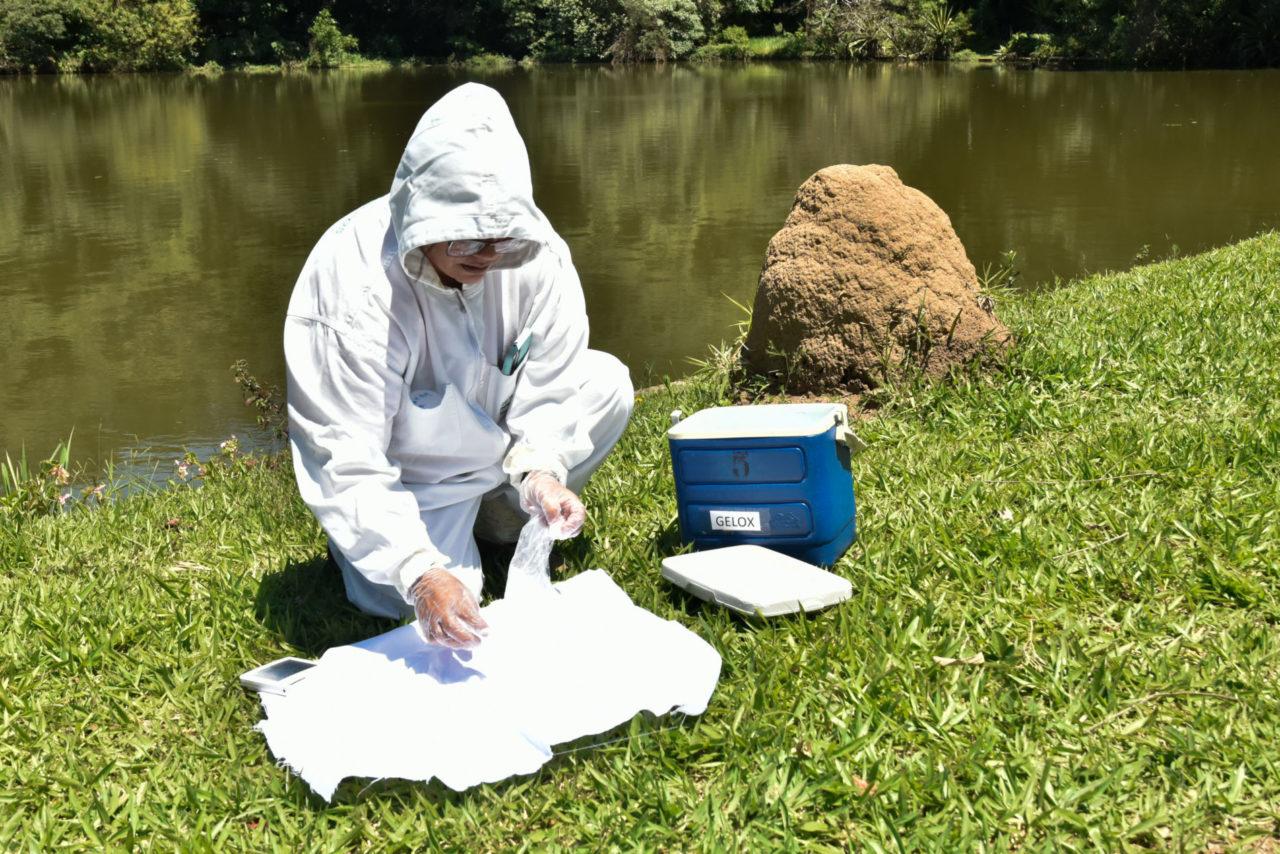 Jundiaí segue com ações preventivas à Febre Maculosa