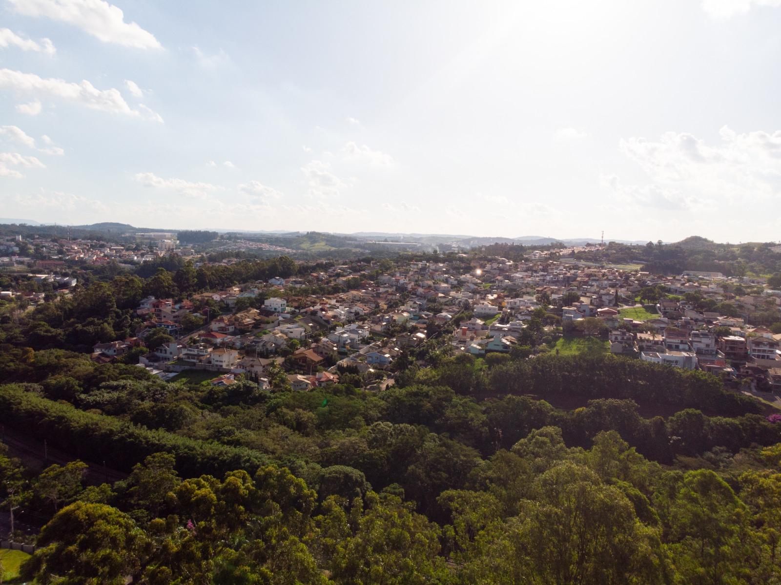 Prefeitura de Louveira apresenta Plano Municipal de Arborização Urbana na próxima sexta-feira (24)