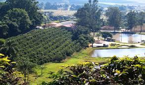 Rota do Café entre Minas Gerais e São Paulo vira monumento nacional