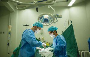 São Paulo realiza maior número de transplantes dos últimos seis anos
