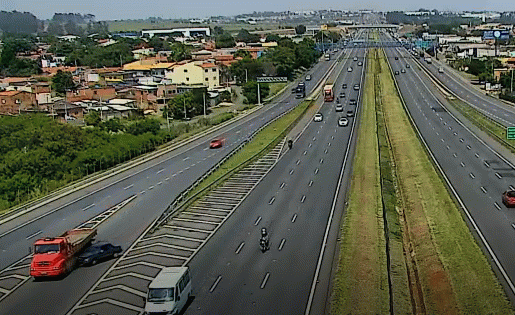 Dentadura, carro alegórico e produtos eróticos: objetos inusitados são encontrados em rodovias