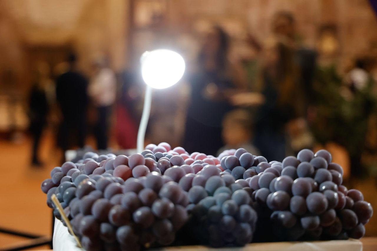 Exposição de Frutas da Festa da Uva vai premiar agricultores com R$ 22 mil