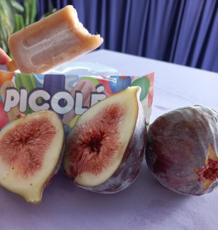 Festa do Figo: gastronomia do evento é um verdadeiro roteiro para a gula
