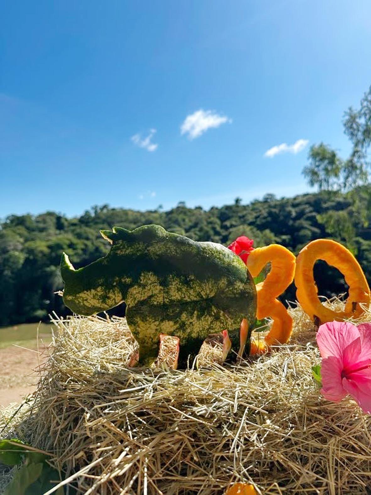 Reconhecido mundialmente, Zooparque Itatiba completa 30 anos