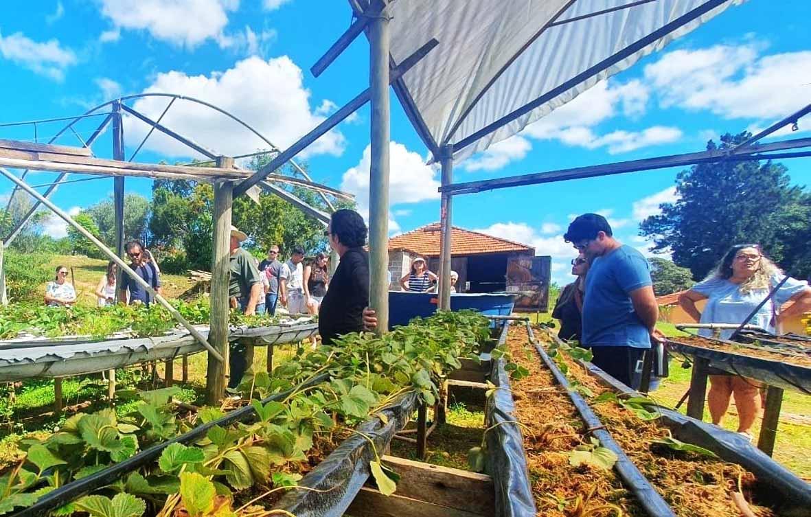 19ª Festa do Caqui & Cia oferecerá passeios turísticos gratuitos aos visitantes