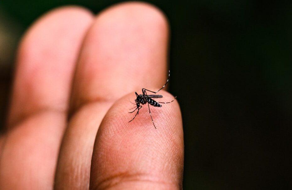 Jundiaí confirma primeira morte por dengue