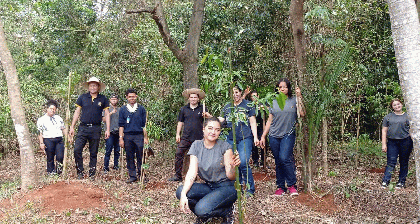 Mata de Santa Genebra planta 50.520 mudas de árvores nativas em 3 anos