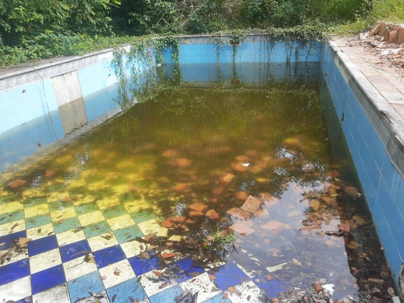 Zoonoses de Vinhedo utiliza peixes para combater larvas da dengue em piscinas
