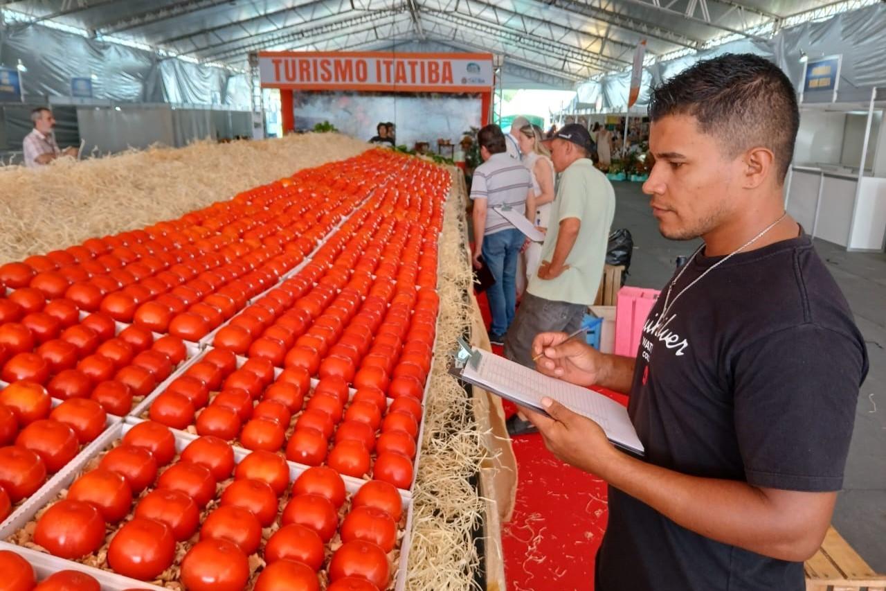 19ª Festa do Caqui & Cia. já tem frutas premiadas do primeiro final de semana