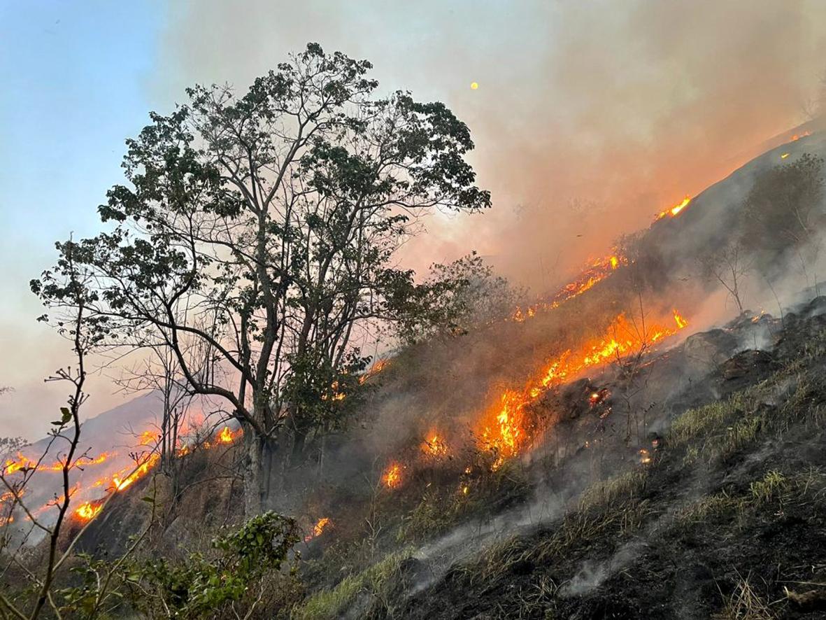 Defesa Civil alerta para risco de incêndios com outono seco