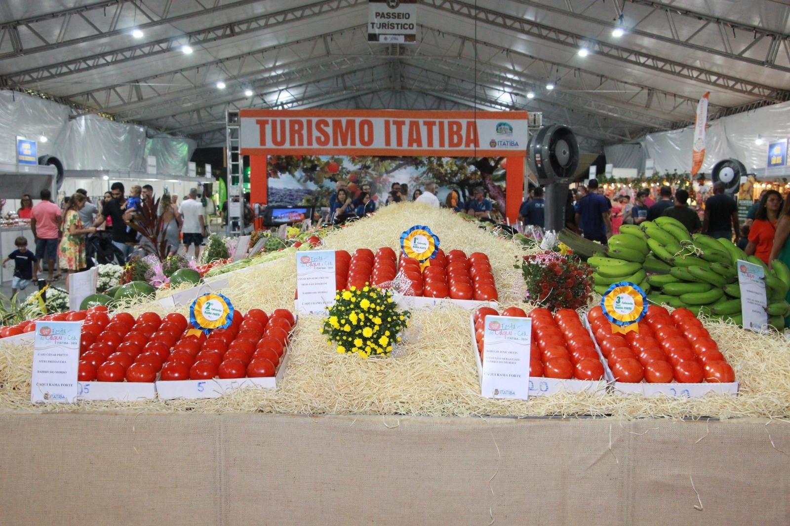 Festa do Caqui está de volta no Parque Luís Latorre com atrativos gratuitos