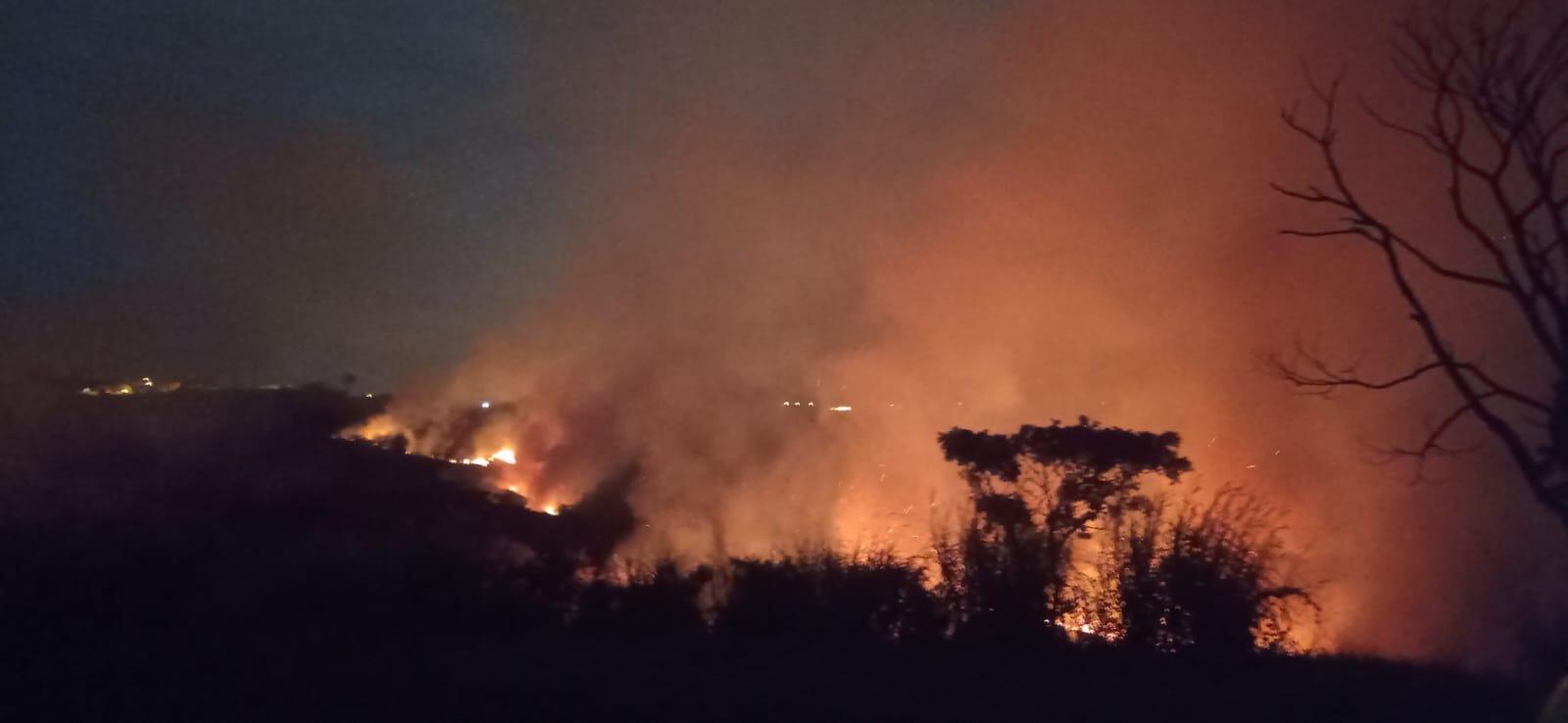 Incêndio atinge área do Instituto Biológico de Campinas