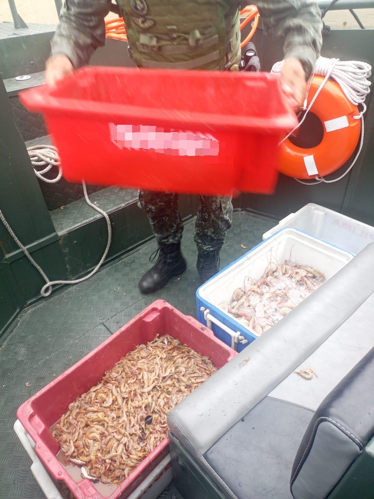 Pesca ilegal: PM ambiental apreende 100 kg de camarão