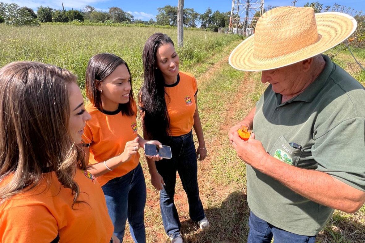 Produção de caquis em Itatiba vem de mais de 60 mil pés