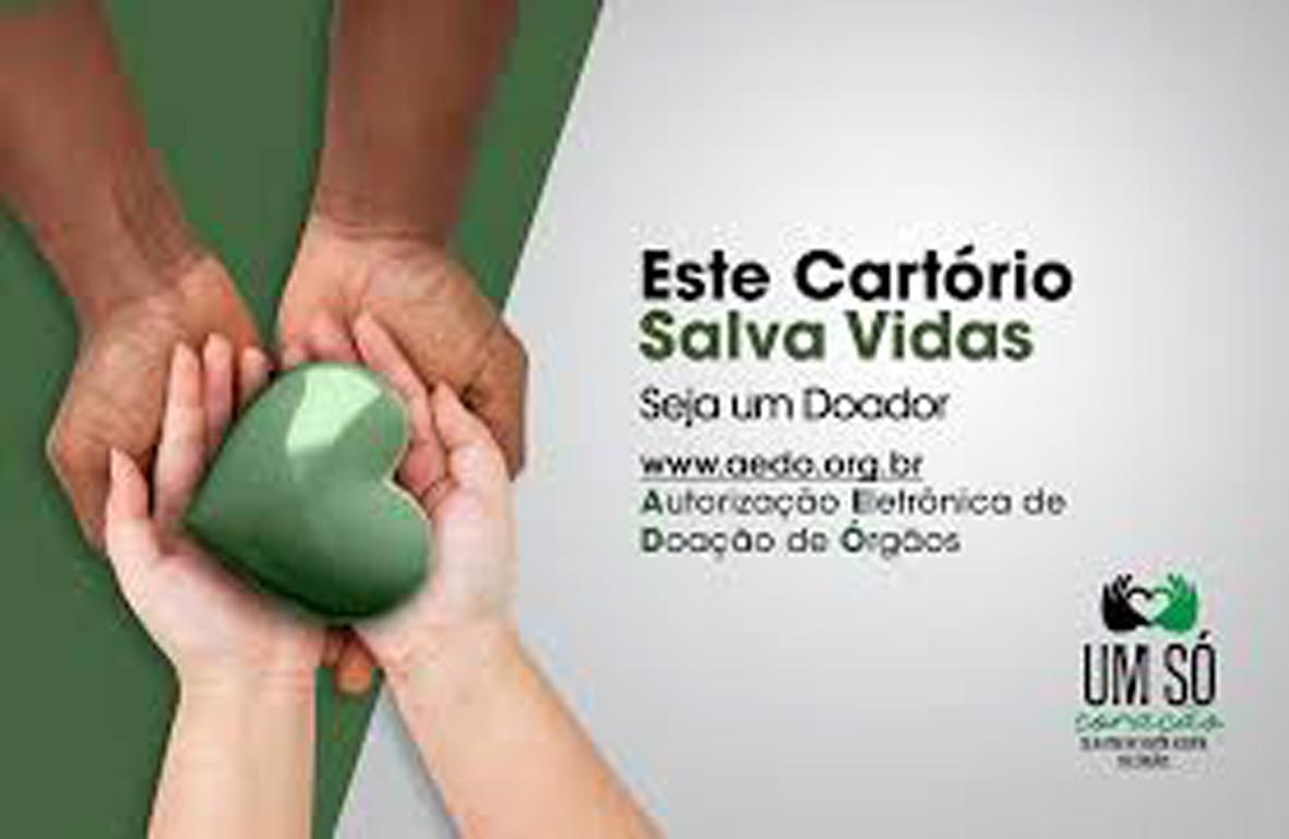 Cartórios de Notas de São Paulo totalizam mais de 1,6 mil doações de órgãos em 30 dias de AEDO