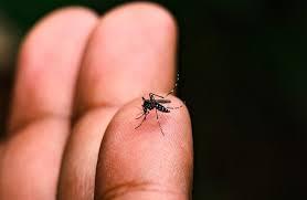 Jundiaí confirma mais uma morte por dengue