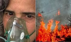 Incêndio atinge fazenda de Lúcia Veríssimo e atriz é atendida