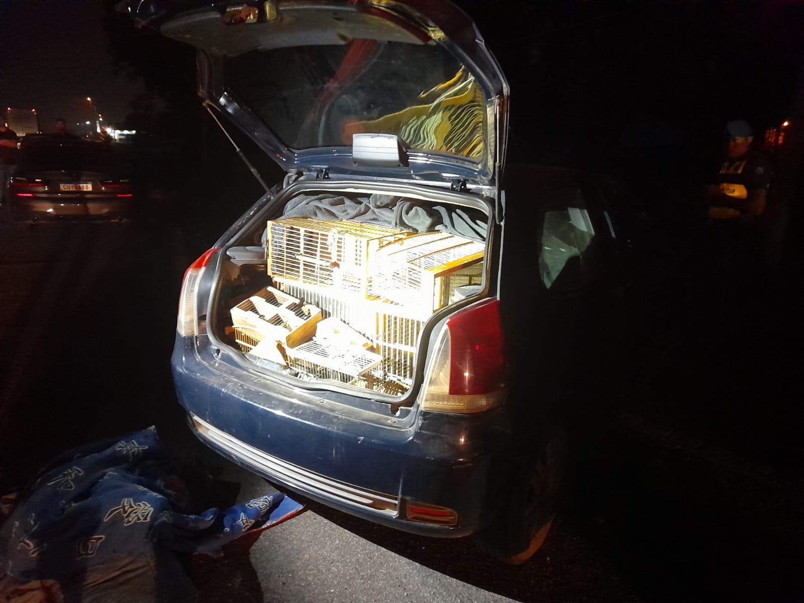 Homem é detido com 30 pássaros presos em gaiolas dentro do carro