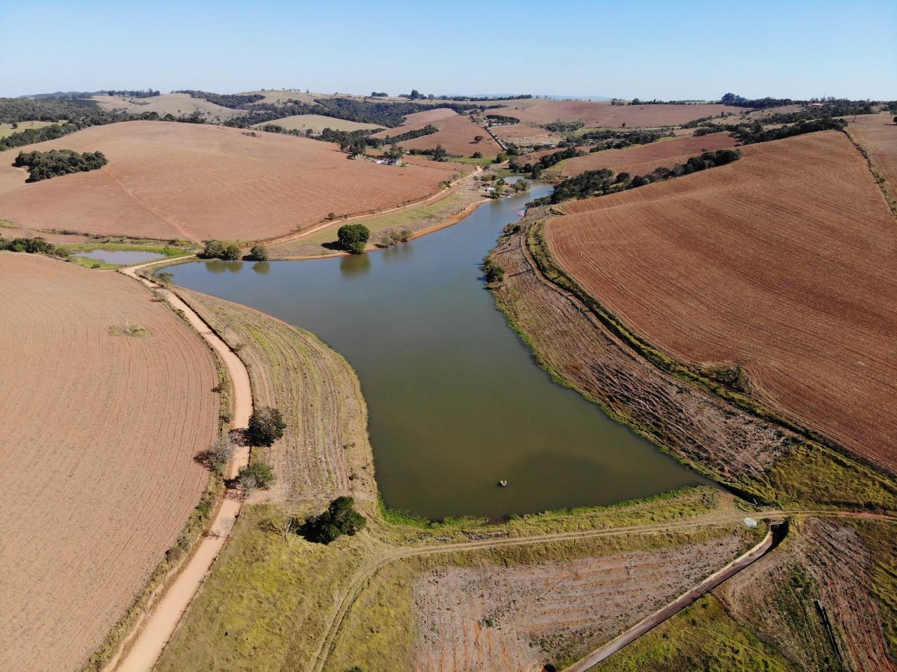 Dia da Árvore: Rota das Bandeiras atinge marca de 500 mil mudas plantadas