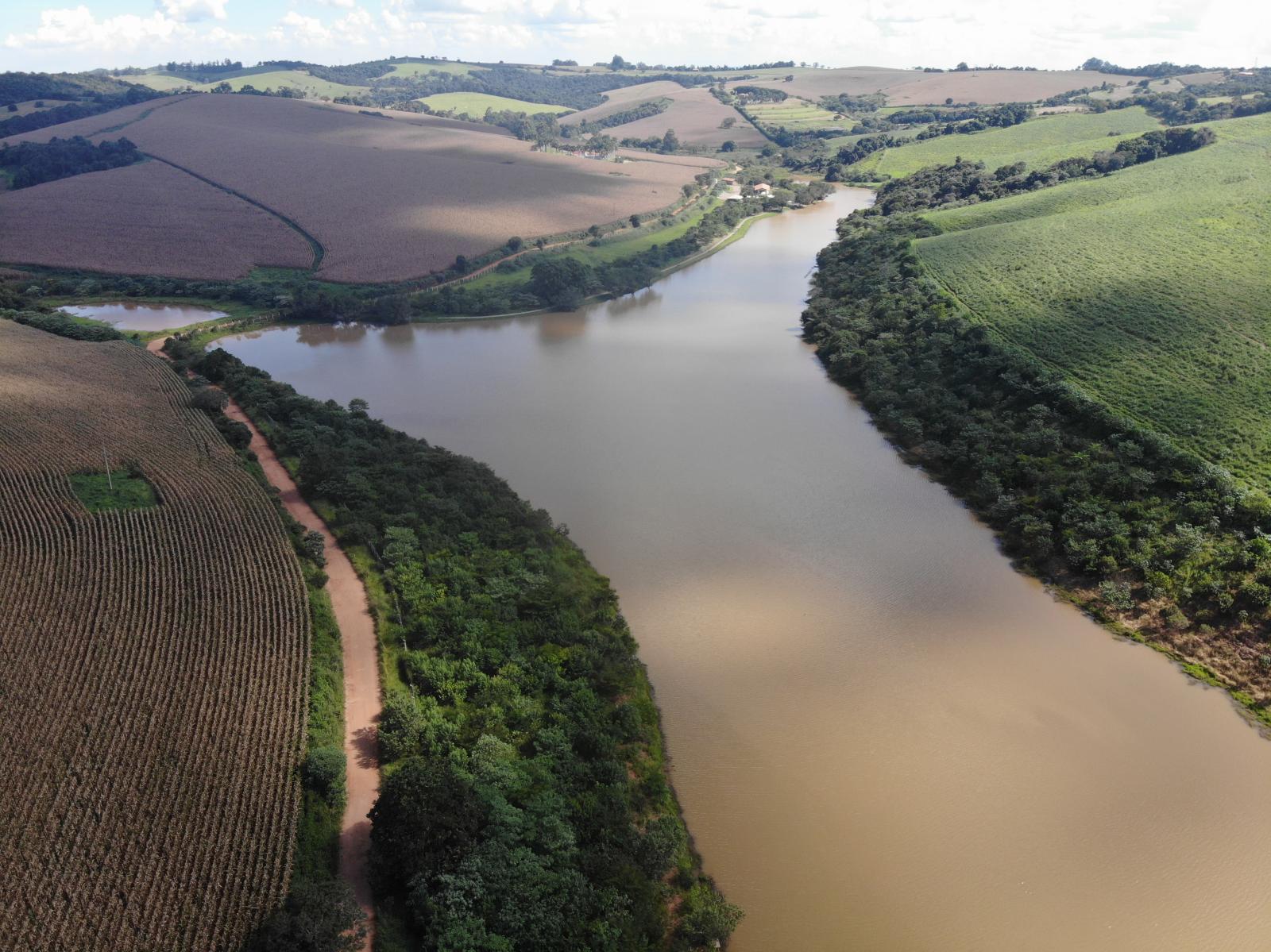 Dia da Árvore: Rota das Bandeiras atinge marca de 500 mil mudas plantadas