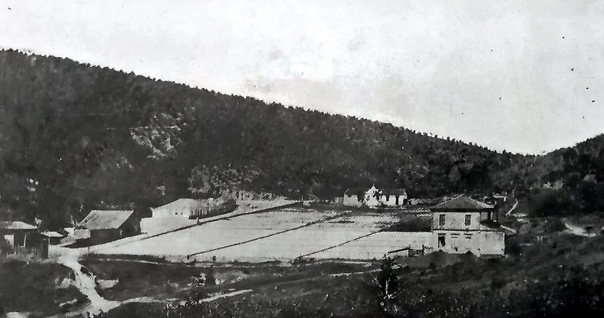 As fazendas Santa Rosa, Belém, Chapéu de Sol em fotos de 1916