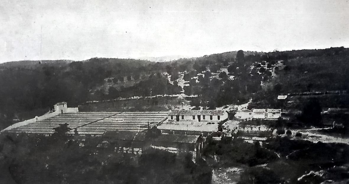 As fazendas Santa Rosa, Belém, Chapéu de Sol em fotos de 1916