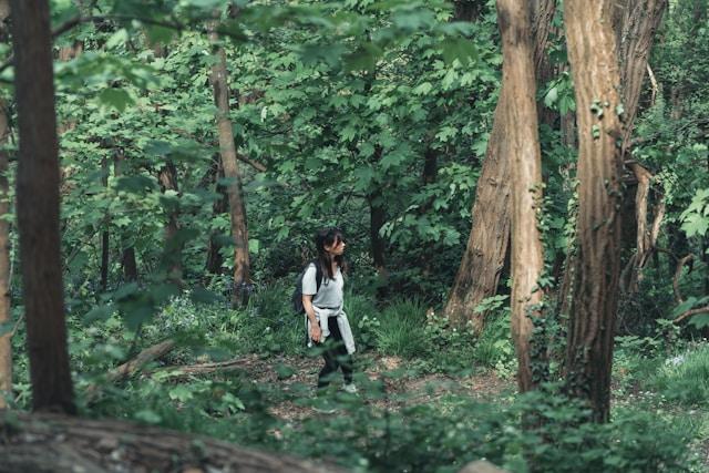 O contato com a natureza promove bem-estar físico e mental