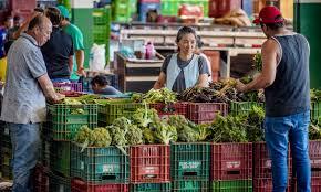 Anvisa inicia monitoramento de resíduos de agrotóxicos em alimentos
