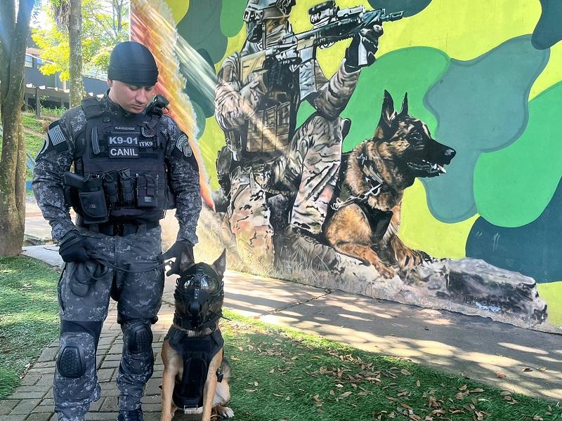 Cão da PM é o 1° a saltar de paraquedas em treinamento de intervenção tática em SP