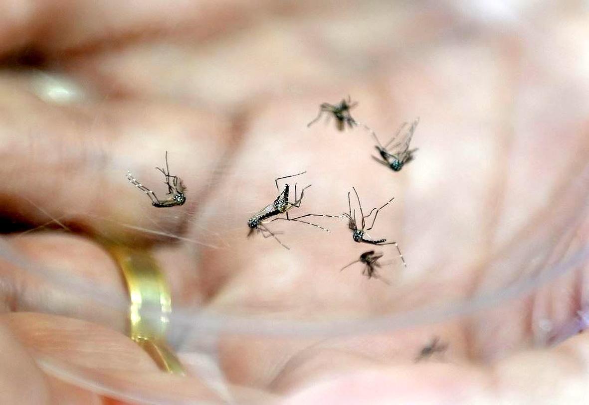 Dengue em queda em Itatiba, mas cuidados devem continuar