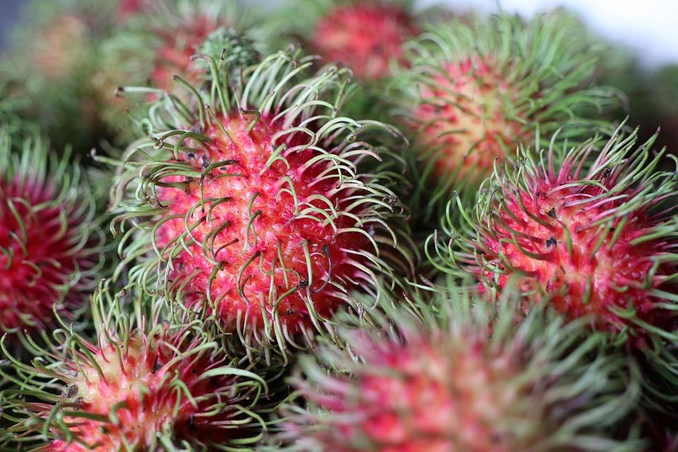 Frutas exóticas pouco conhecidas que você precisa experimentar