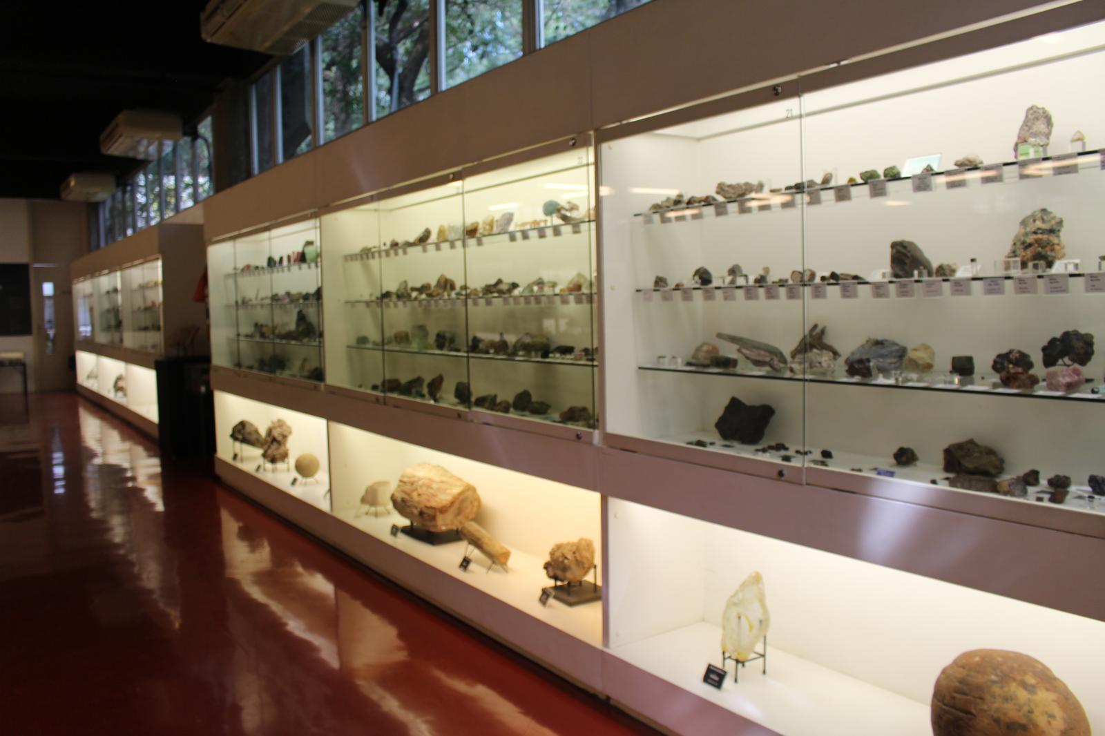 Museu de Geociências da USP é reinaugurado em comemoração ao Dia do Geólogo