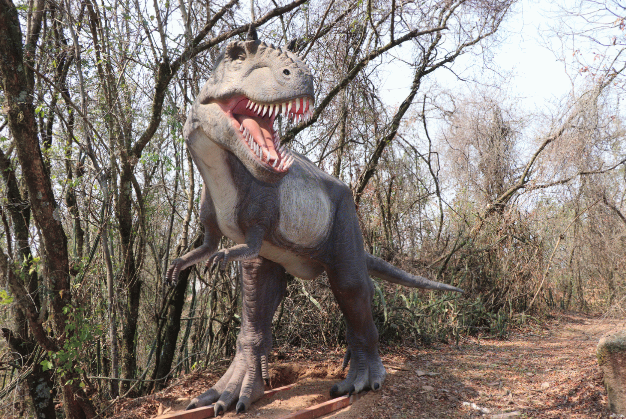SP Jurássico: 10 cidades para visitar museus e conhecer a história dos dinossauros no estado