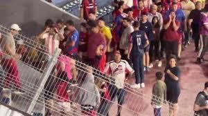 Torcedores do Cerro Porteño imitam macacos em direção à torcida do Palmeiras