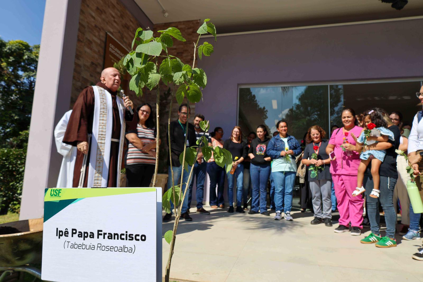 USF realiza plantio de Ipê Branco em homenagem ao legado do Papa Francisco