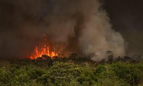 Câmara aprova aumento de punição a quem provocar incêndios florestais