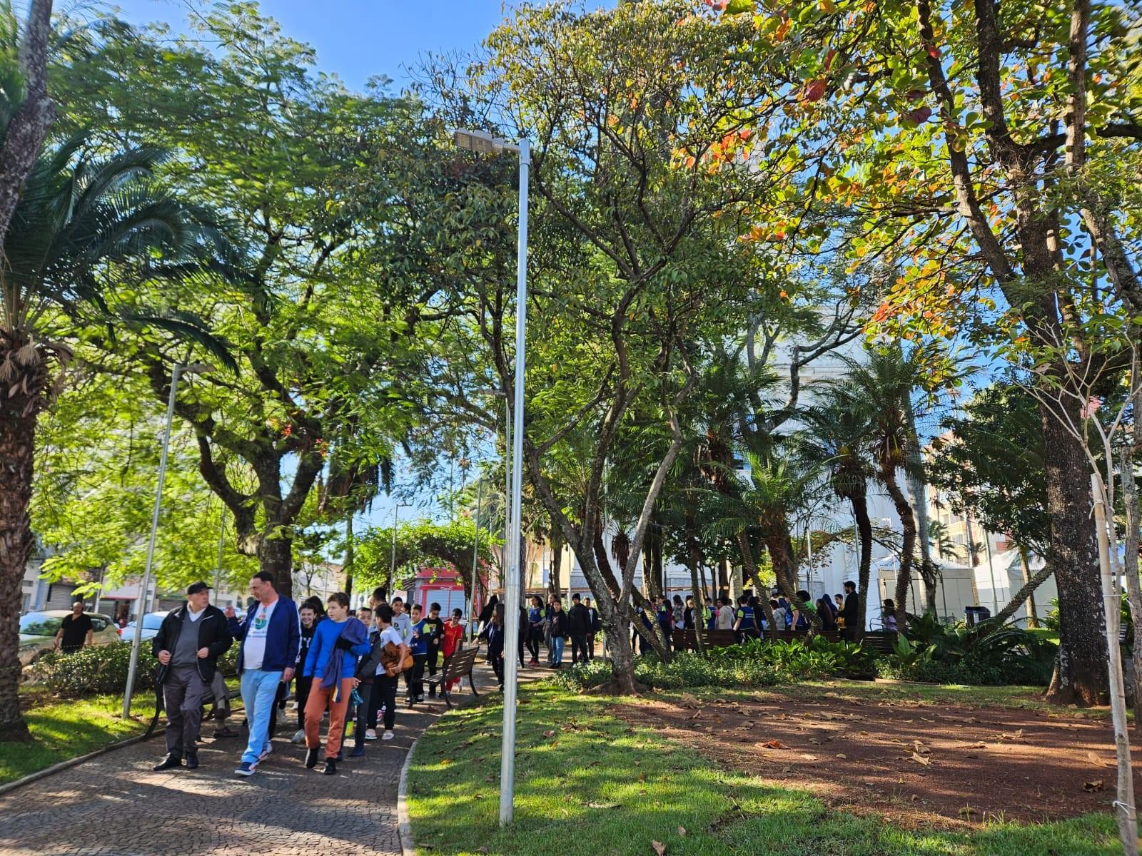 Doação de 8.000 mudas na Praça da Bandeira será nesta quinta pelo Dia do Meio Ambiente