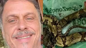 Guilherme Fontes é picado por cobra venenosa