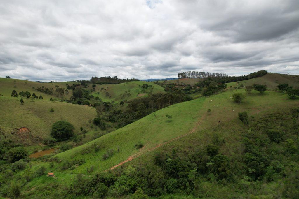 Inscrições para concurso fotográfico sobre Mata Atlântica com R$ 30 mil em prêmio vão até domingo (22) 