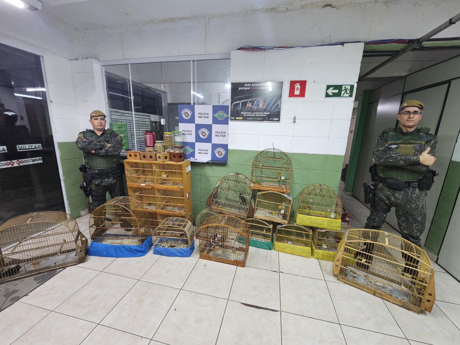 Polícia Militar Ambiental resgata 38 aves silvestres na capital